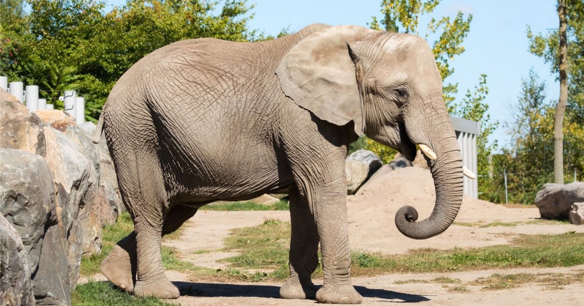 Parque Zoológico Municipal Quinzinho de Barros